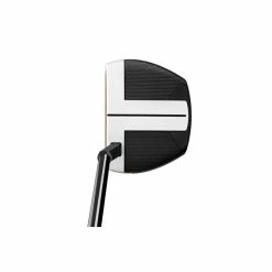 TaylorMade Spider FCG Slant Putter